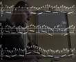 Bach on recorder - Bwv 1067-1; suite n.2, mvt 1: overture