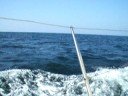 videos voile