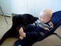*edit: gibson is gone 1/7 08cancer took him away from us r i p love you always my friend* rottweiler and baby