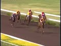 Still smarting from a horrific stable accident which resulted in the champ losing half his tail, True Brew (the greatest race horse ever) scores back 2 back with a devastating victory over 1300m.