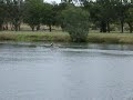 Carl Rowing Practice