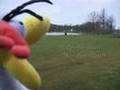 Eierenlympics - Egglympics - Pasen - Eastern