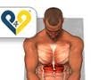 Encogimiento de abdominales con empuje de manos
