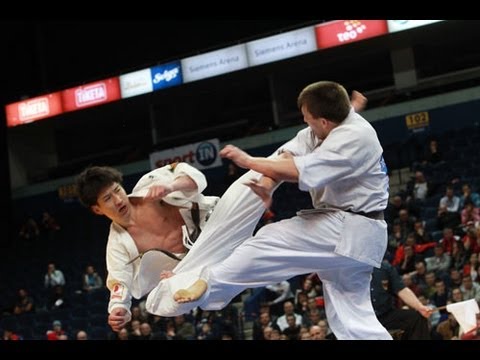 【新極真会】The 5th Karate World Cup MEN LIGHT WEIGHT FINAL MAEDA vs. MOISSEYEV