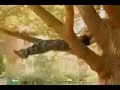 free run fun by Tyson Cecka