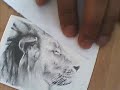 ACEO Speed Lion Pencil Drawing
