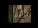 Remix Window Vídeo 2 Janelas Remix Window Vídeo 2 Janelas