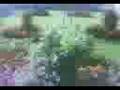 videos de DULLO STRIMA