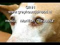 podenco loca
