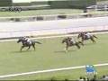 2008年5月17日 京都ジャンプS(J・GⅢ) テイエムトッパズレ
