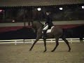 Merudin NK Roosendaal 2008 Kur