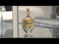 Roberto Cavalli Launches New Fragrance