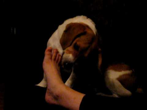 licking soles