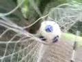 fuzbal genij