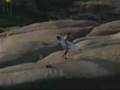 Lemon Surf Power Surfing and Air Tricks