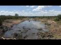 Safari in Masai Mara, Kenya with Shelter Boys (Part 2)