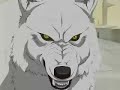 Tribute to Kiba, the super wolf Tribute to Kiba, the super wolf