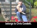 Treating Cancer in Cats and Dogs