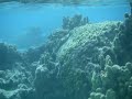 A Day on the Water of Bora Bora A Day on the Water of Bora Bora