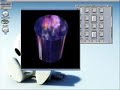 AMIGA lives on (Amiga 2007)