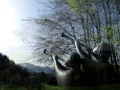 Oberstaufen Hotelvideo landschaften um Oberstaufen Reiseapp Hotelapp