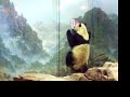 Mei Xiang  - Want Out Dance (02)(National Zoo, DC) Jan 06
