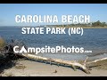 Carolina Beach State Park, North Carolina ...