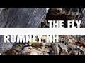 The Fly v14 The Fly v14