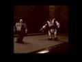 videos de Photos Robonova & Robosapiens Art Of Fighting