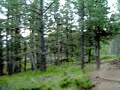 Custer State Park - Harney Peak