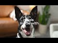 Open video