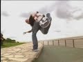 bam margera mike v elementality