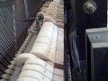 Lauter-Humana player piano belts out 
