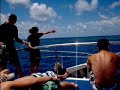 Dive snorkel sail 2 Dive snorkel sail 2