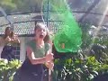 The Hunt of the Leprechaun