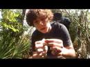 Survivorman DC Spoof Survivorman DC Spoof
