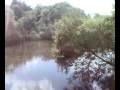 Land Cruiser 70 nk / PG Landscape 2