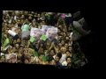 MirHossein Mousavi dar Esfehan va Tehran