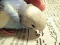 videos de 081223_2245~0001.m4v