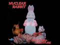 Nuclear Rabbit- The Pimp The Bitch And The Magical Bean