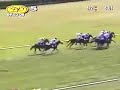 2008 Cape Henlopen Stakes