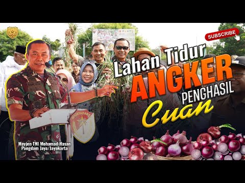 Lahan Tidur Angker Penghasil Cuan, Panen Bawang Food Estate Korem 051/Wkt