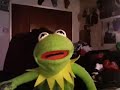 Kermit the frog, 2 girl 1 cup reaction.