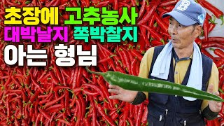 토생수