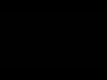 al kaida