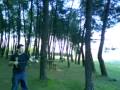 viro yoyo pro