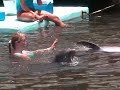 Dolphin Research Center