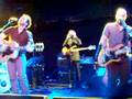 Turin Brakes - Ever Ready