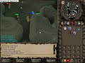 wallaski - ranging in 3rd age range wallaski - ranging in 3rd age range