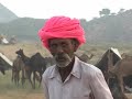 01 - Camel Fair Pushkar